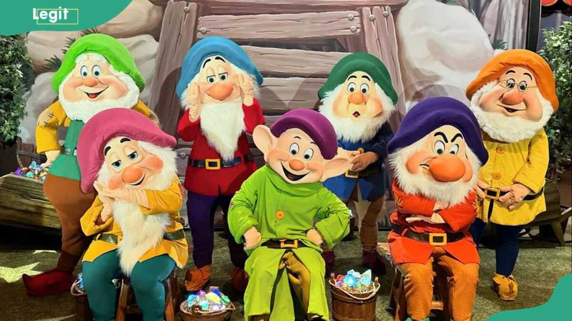 The Seven Dwarfs The Seven Dwarfs