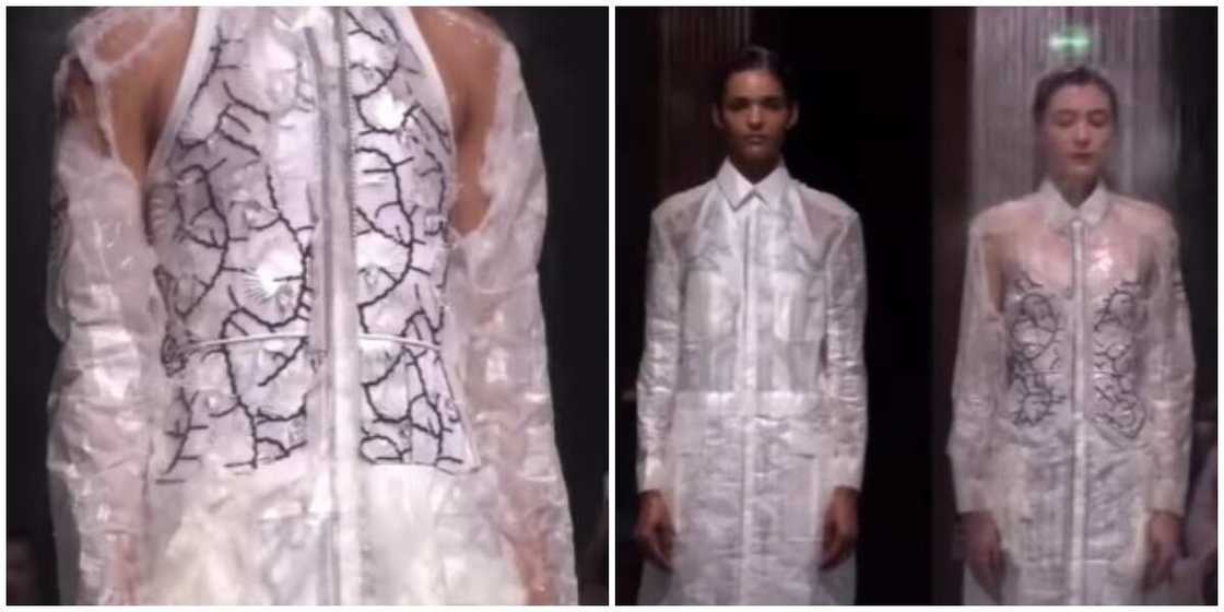 Fashion model/dissolving dresses/video Fashion model/dissolving dresses/video