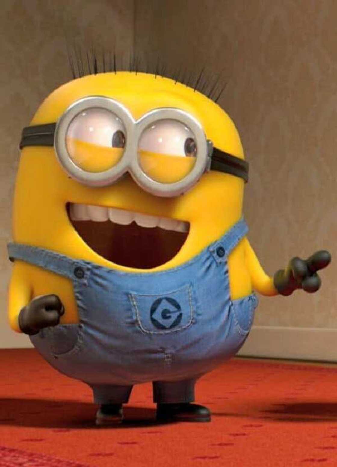 minion meme minion meme