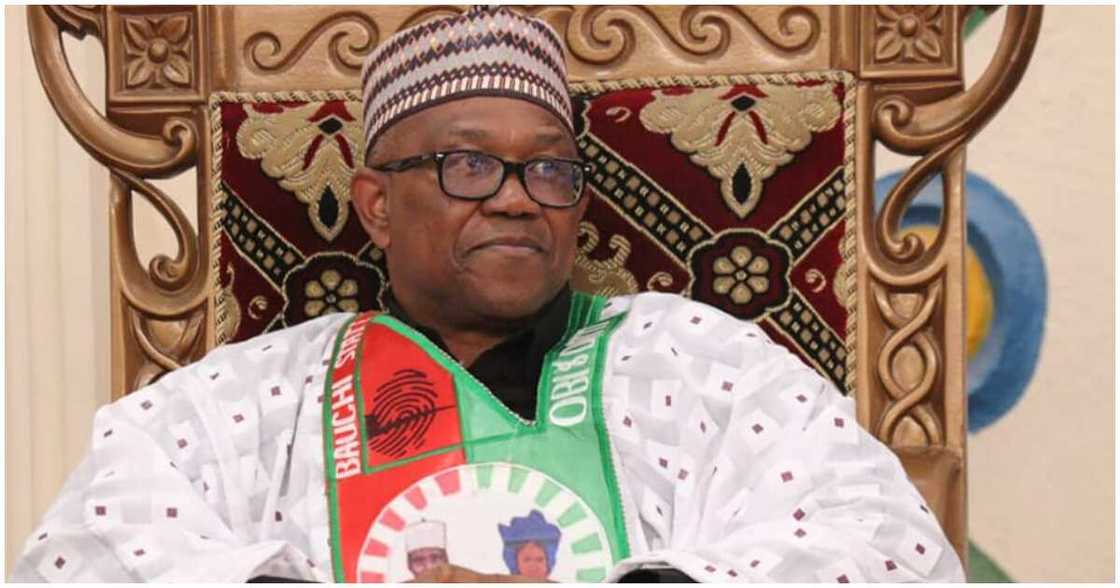 Peter Obi/Tribunal Peter Obi/Tribunal