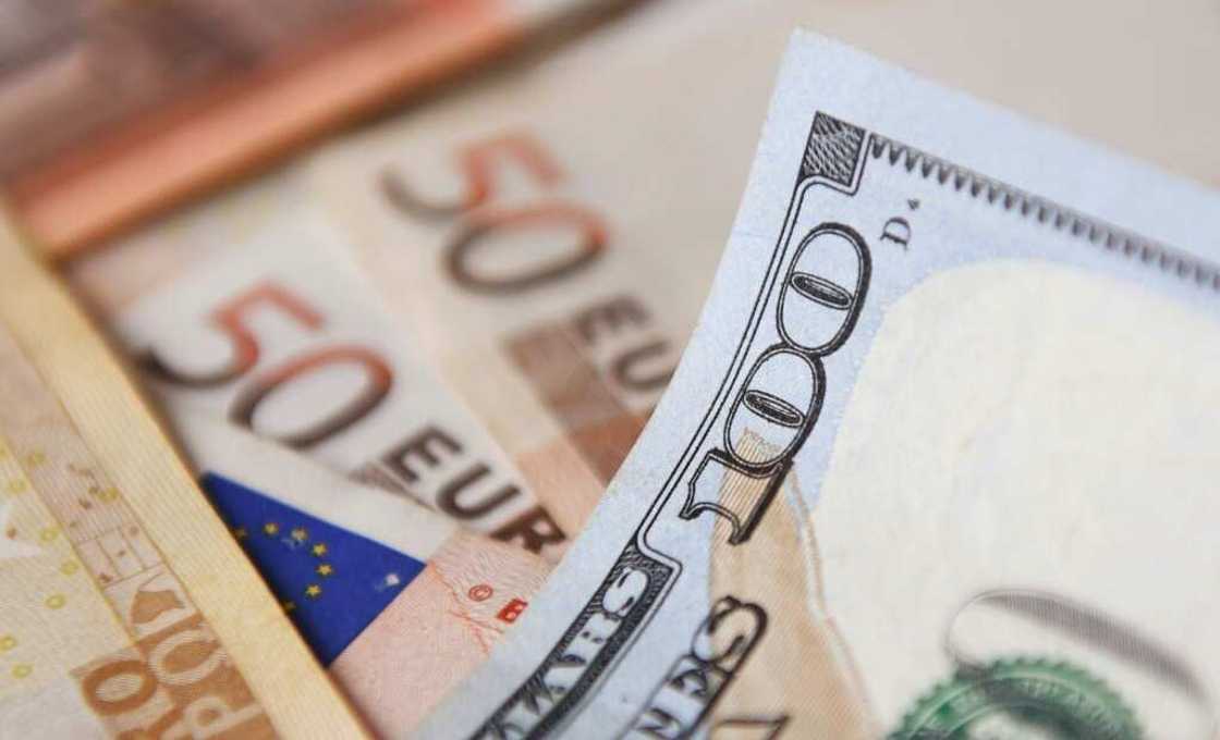 The dollar has surged against its main peers on rate hike bets and is now worth more than one euro The dollar has surged against its main peers on rate hike bets and is now worth more than one euro