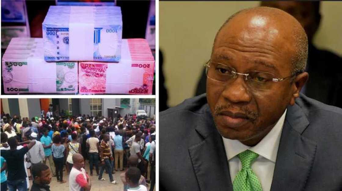 5 Reasons CBN’s Naira Redesign Policy Has Not Been Successful, According to NESG 5 Reasons CBN’s Naira Redesign Policy Has Not Been Successful, According to NESG