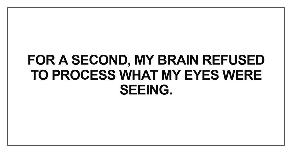 For a second, my brain refused For a second, my brain refused
