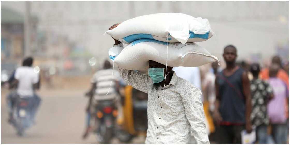 High cost of rice caused by dollar rise, the President of Nigerian Rice Farmers Association, Aminu Goronyo says High cost of rice caused by dollar rise, the President of Nigerian Rice Farmers Association, Aminu Goronyo says