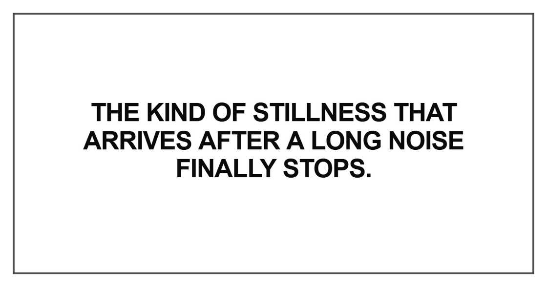 The kind of stillness that arrives