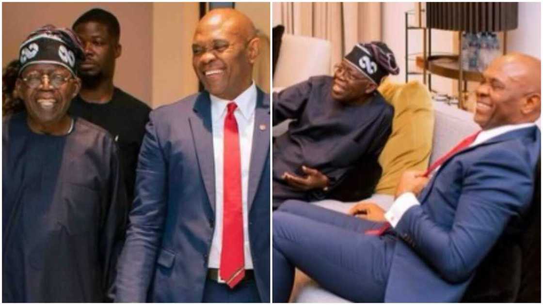 Tinubu and Tony Elumelu/President-Elect