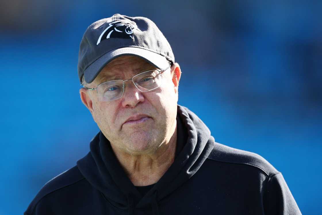 Owner of the Carolina Panthers at Bank of America Stadium Owner of the Carolina Panthers at Bank of America Stadium