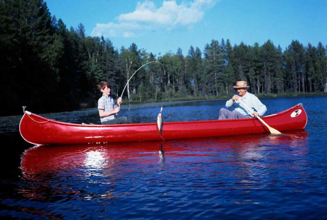 Citations sur la vie et le bonheur Citations sur la vie et le bonheur
