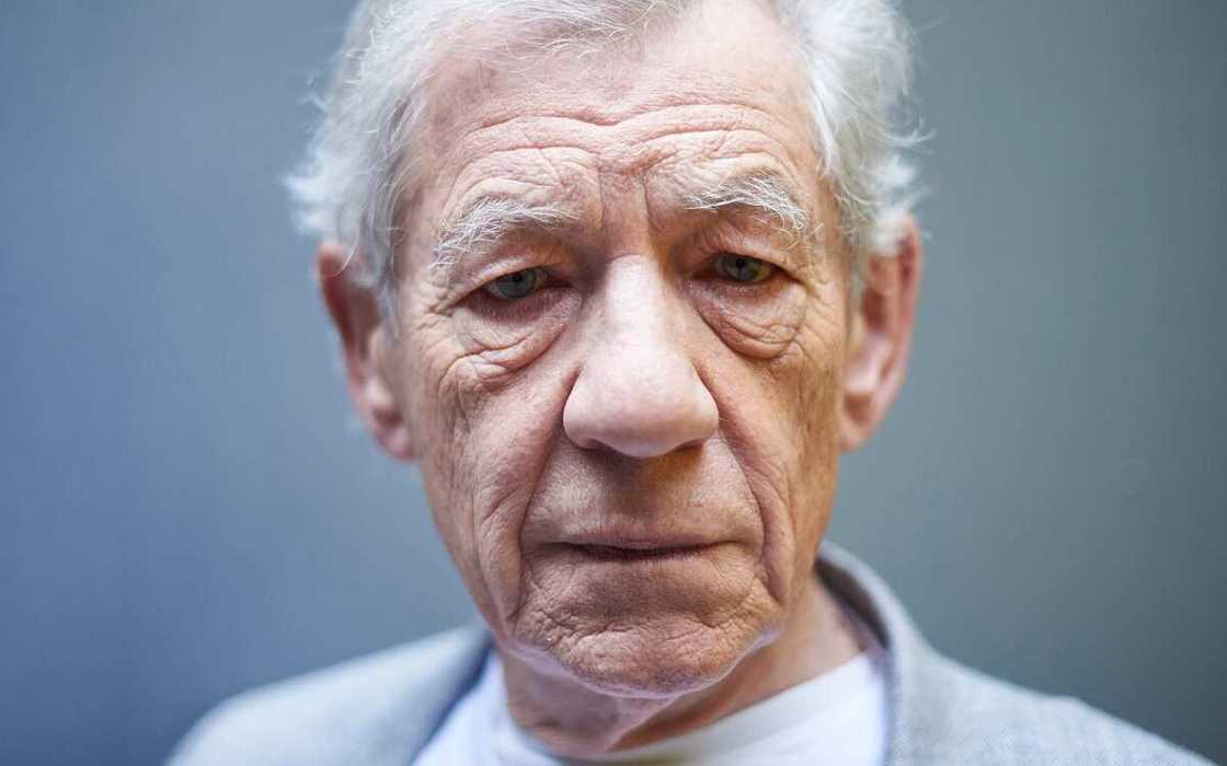 Harry Potter actor Harry Potter actor