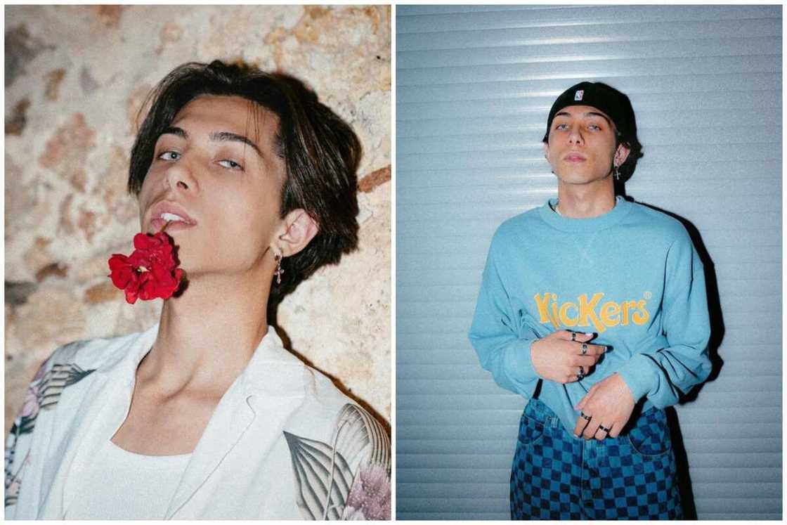 Milos Guzel Milos Guzel