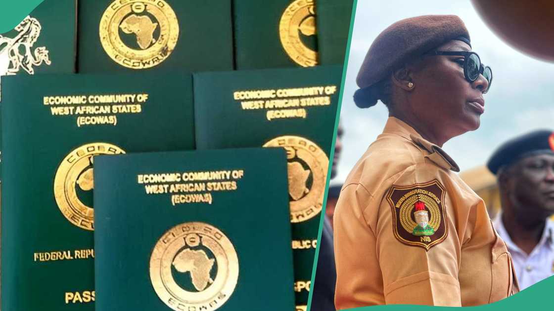 Nigeria Immigration Service has listed four reasons for increasing prices of Nigerian passport Nigeria Immigration Service has listed four reasons for increasing prices of Nigerian passport