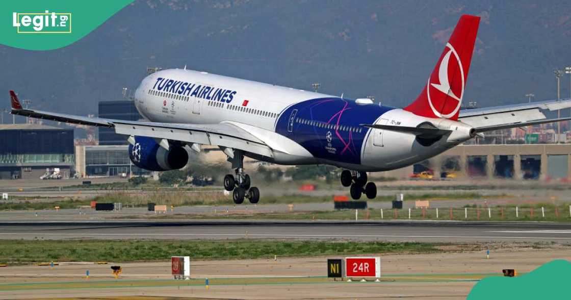 Turkish Airlines explains sack of Nigerian employees Turkish Airlines explains sack of Nigerian employees