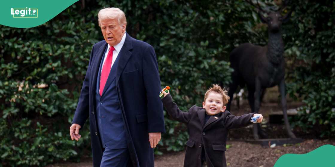 Donald Trump. US President. Elon Musk. Little X. Donald Trump. US President. Elon Musk. Little X.