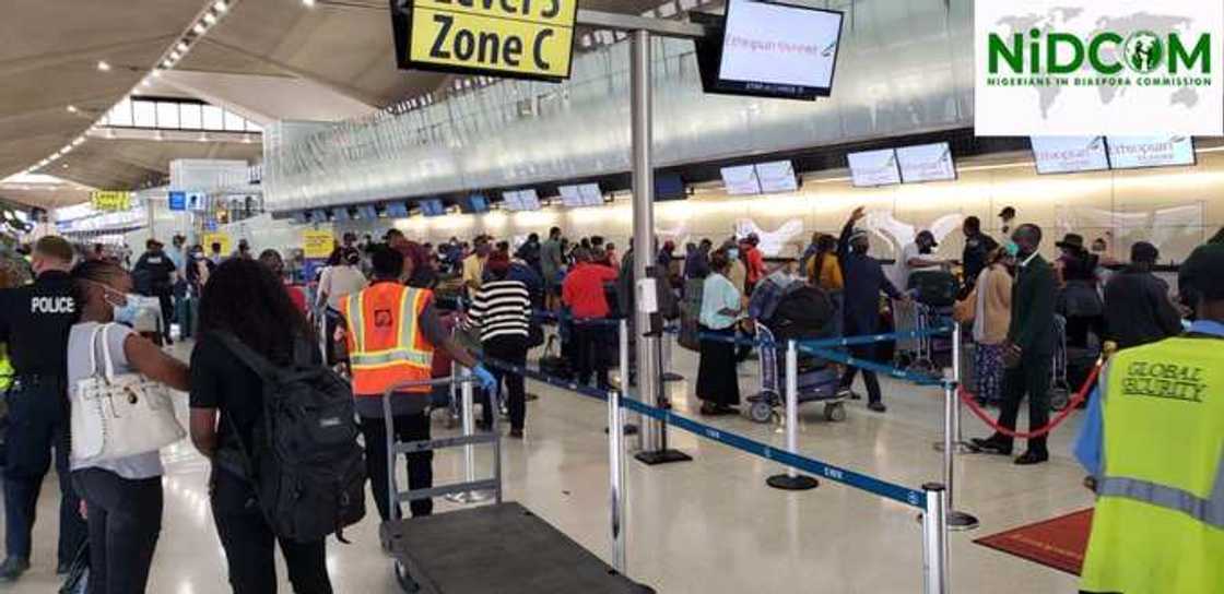 Federal government finally ends evacuation flight from US as 208 Nigerians arrive on Friday, August 21 Federal government finally ends evacuation flight from US as 208 Nigerians arrive on Friday, August 21