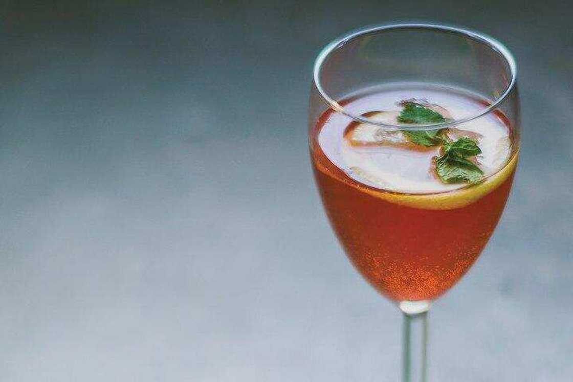 Is kombucha good for you Is kombucha good for you