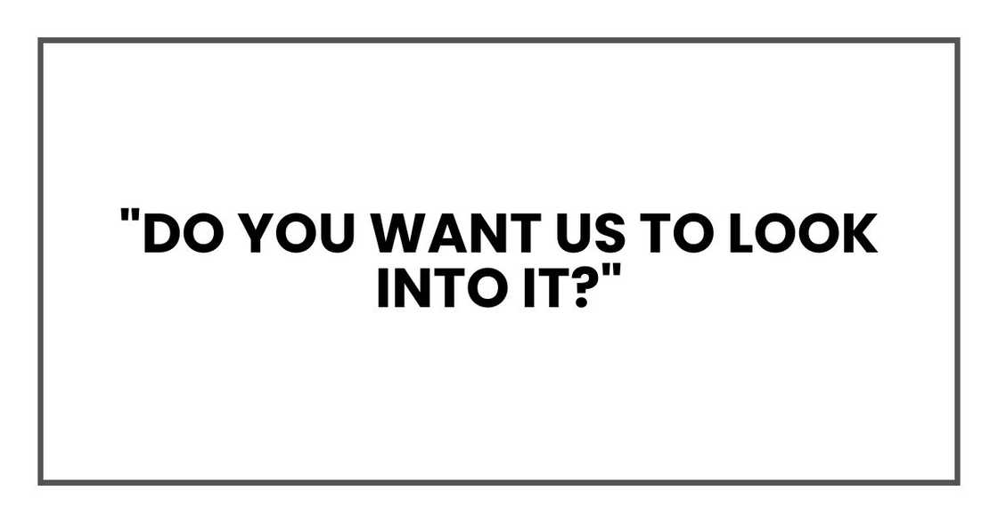 "Do you want us to look into it?" "Do you want us to look into it?"