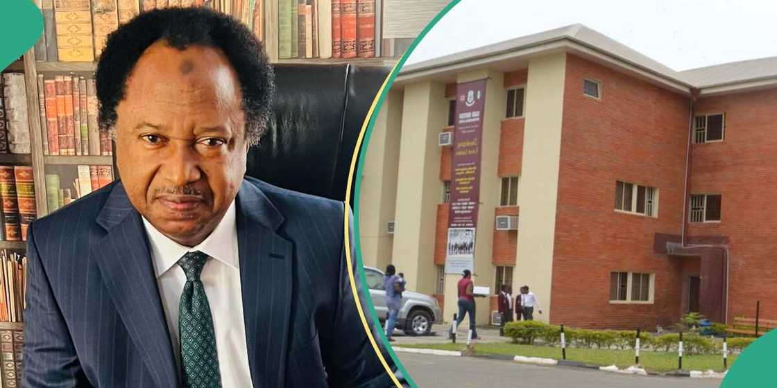 Shehu Sani reveals reason private schools allow bullying among students Shehu Sani reveals reason private schools allow bullying among students