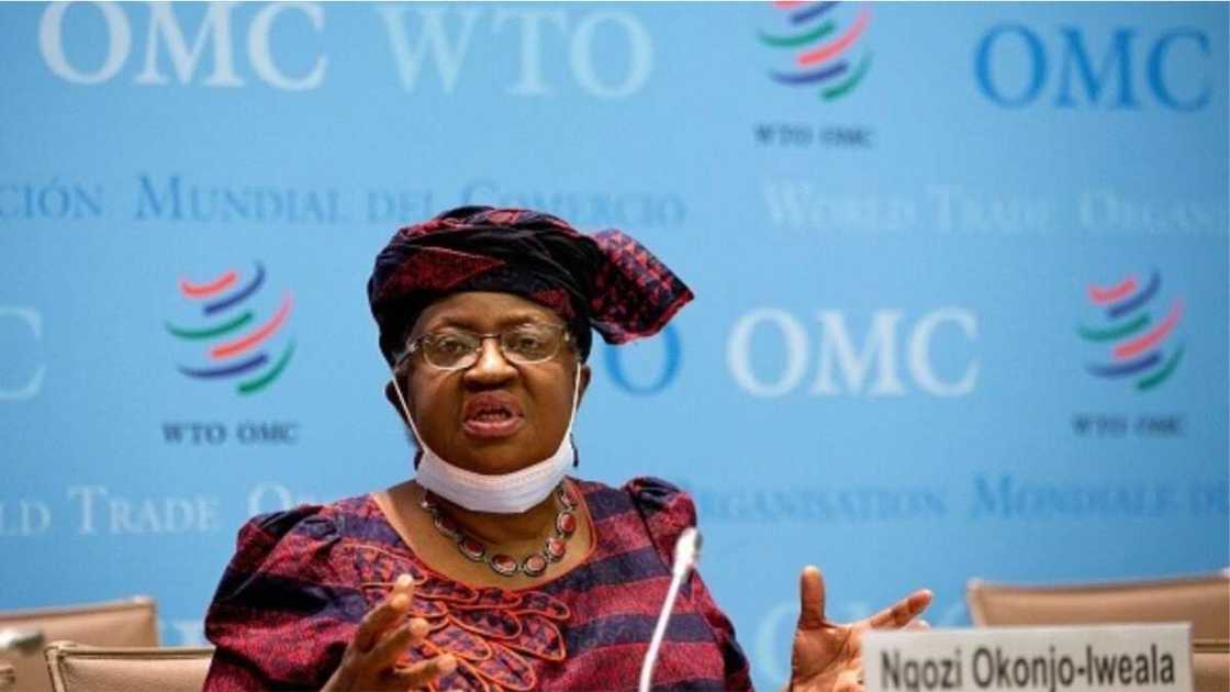 Okonjo-Iweala Addresses Alleged Plan to Resign from WTO Job, Contest 2023 Presidency in Nigeria Okonjo-Iweala Addresses Alleged Plan to Resign from WTO Job, Contest 2023 Presidency in Nigeria