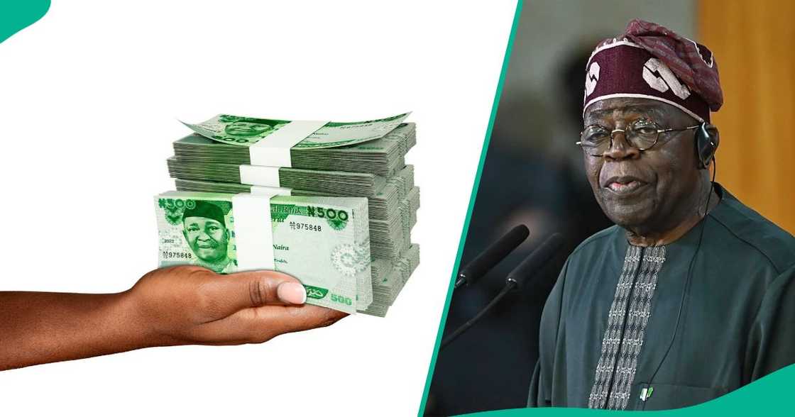 FG reopens portal to give Nigerians N50,000 Grant