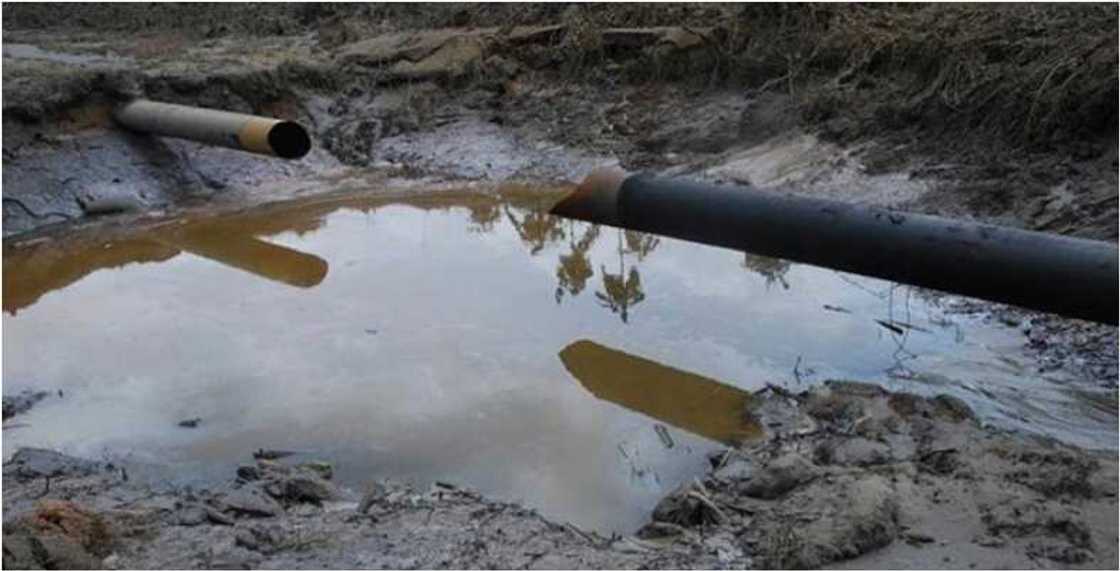 NNPC zata fadada bututun iskar gas daga Ajaokuta zuwa Kano zuwa kasar Aljeriya NNPC zata fadada bututun iskar gas daga Ajaokuta zuwa Kano zuwa kasar Aljeriya