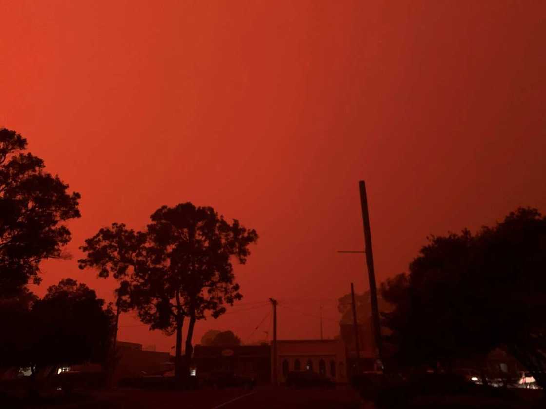 Skies turn blood red in Australia as massive bush fires rage on Skies turn blood red in Australia as massive bush fires rage on