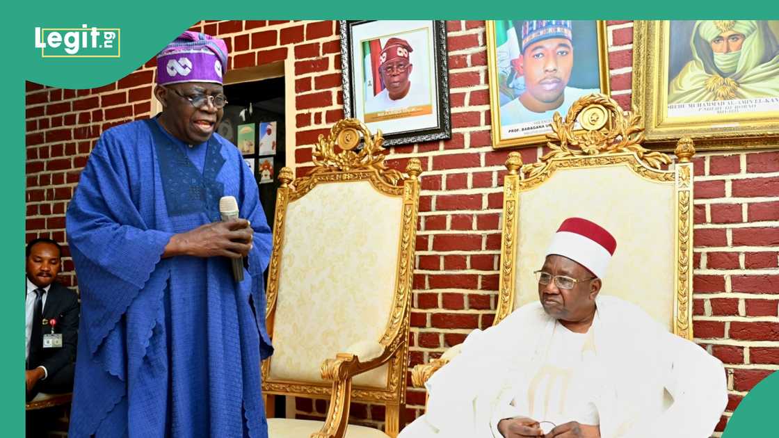 Tinubu visit Borno, stops by as Shehu palace