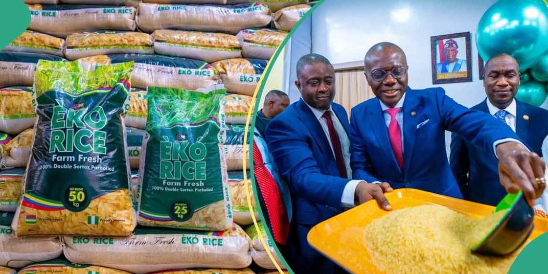 Eko rice Eko rice