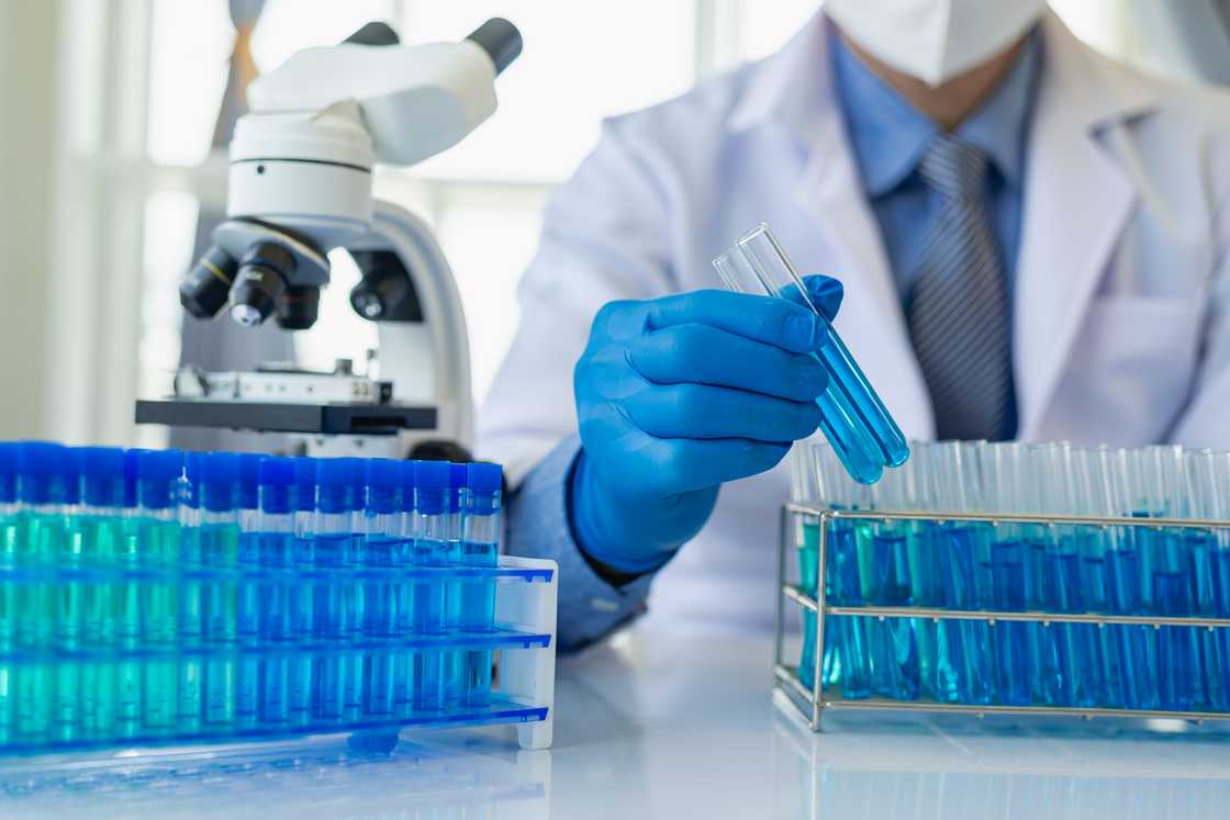 Student in the laboratory during research