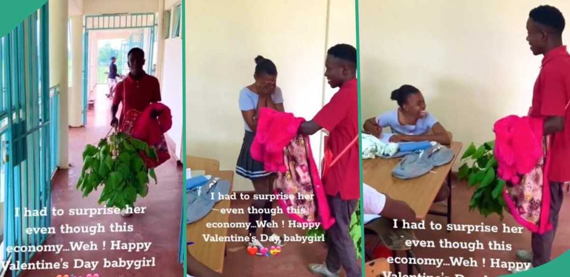 Video as young boy wows his girlfriend with sweater and leaves as Valentine's Day gifts Video as young boy wows his girlfriend with sweater and leaves as Valentine's Day gifts