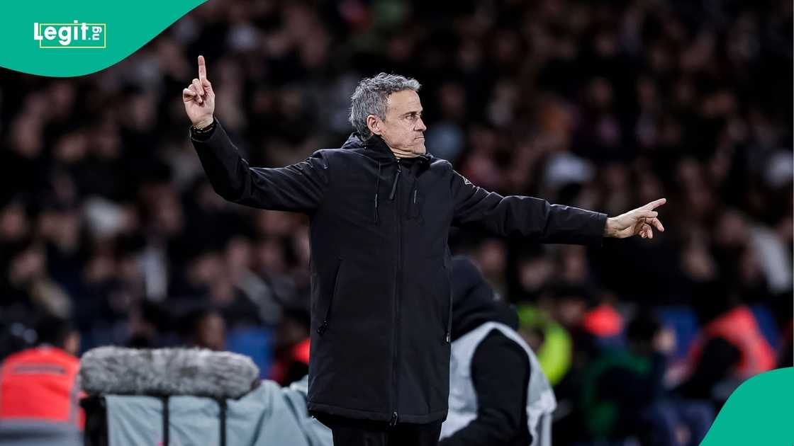 Luis Enrique, PSG, Chelsea, UEFA, Champions League, Football.