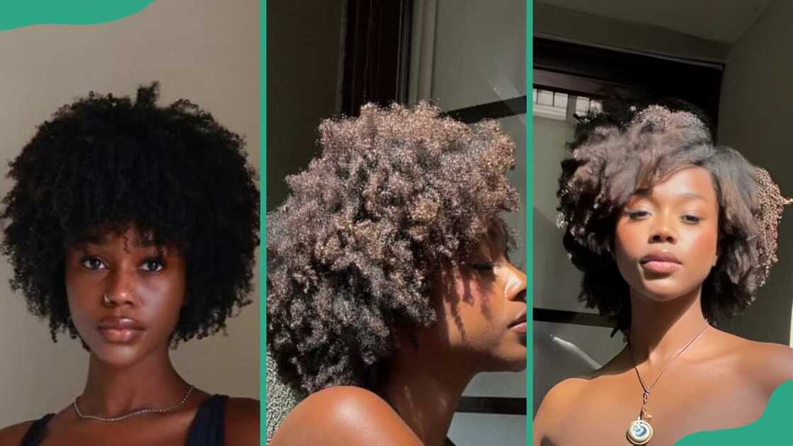 Wooley Kinky afro Wooley Kinky afro