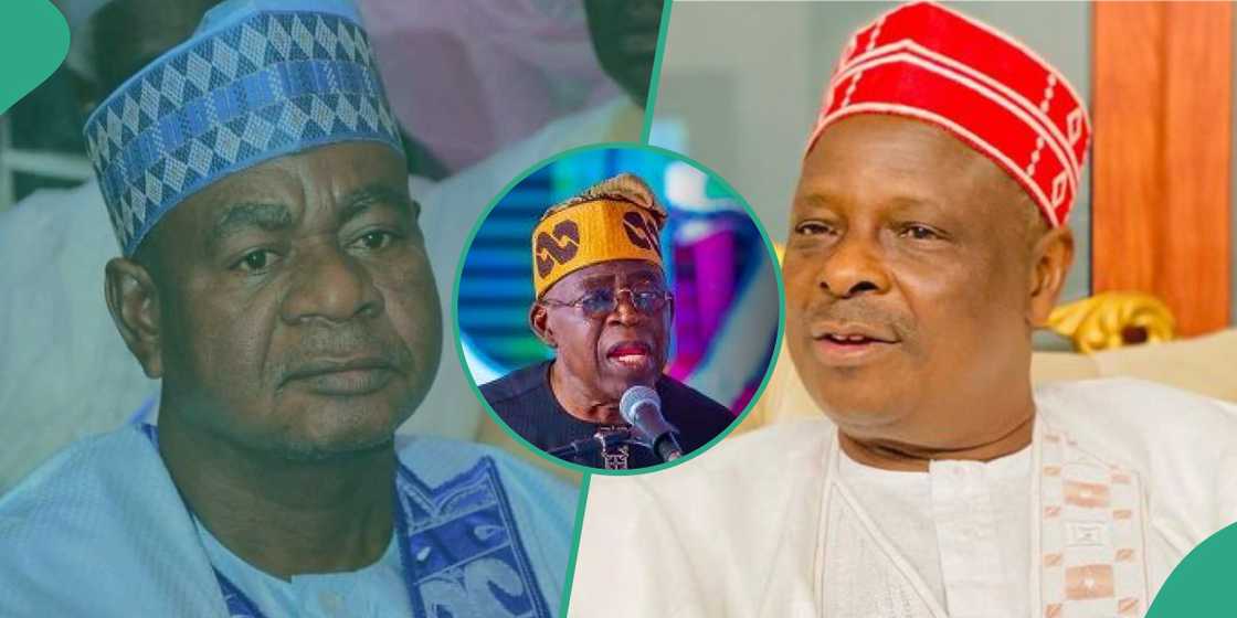 Jigon APC a Kano ya shawarci Tinubu kan alaka da Kwankwaso