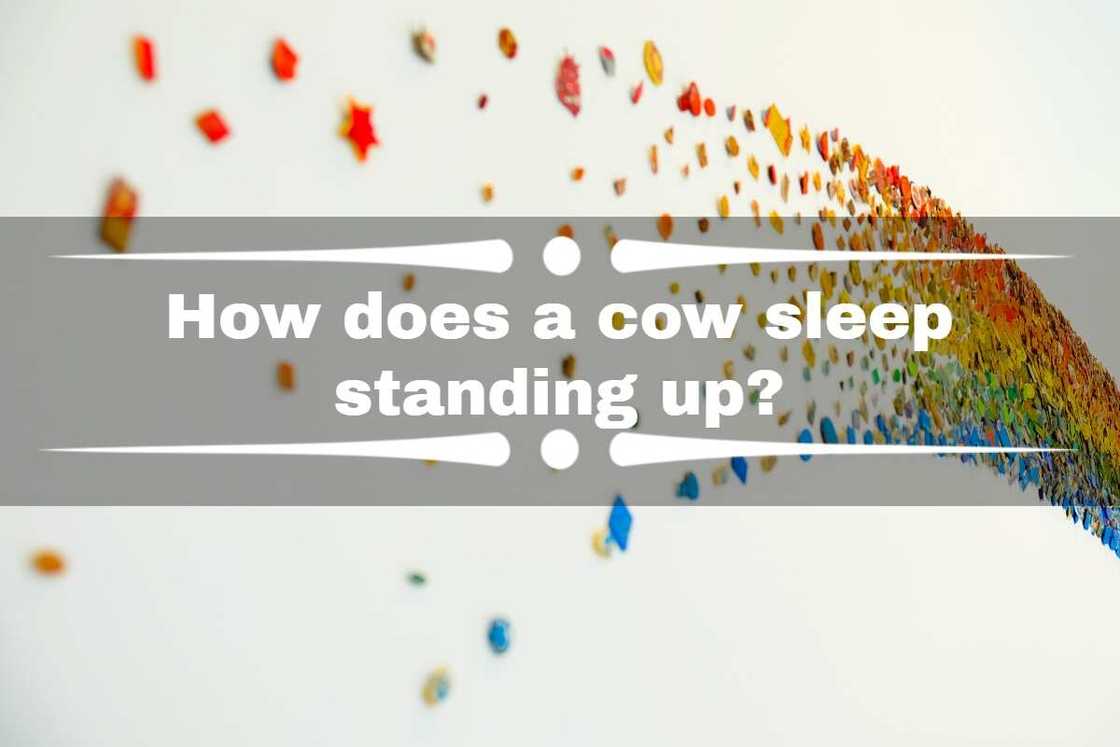 dumb questions that make you think dumb questions that make you think