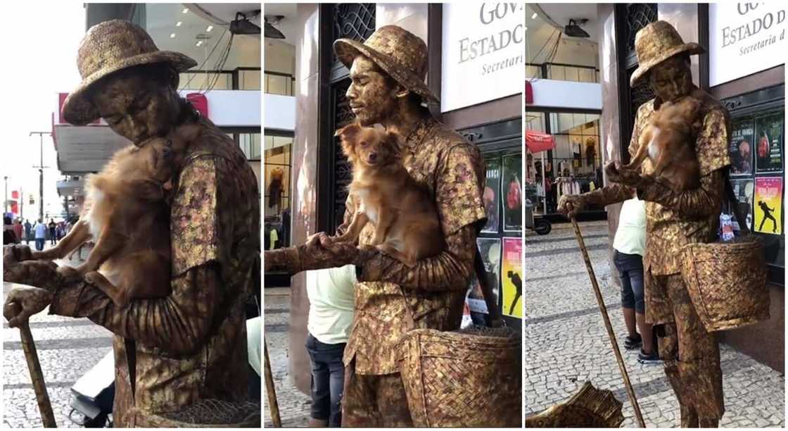 Photos of a man who designed himself to look like a statue.