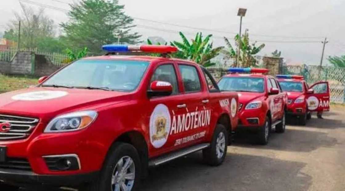Amotekun sun kashe wani mahauci dan sokoto a Oyo Amotekun sun kashe wani mahauci dan sokoto a Oyo