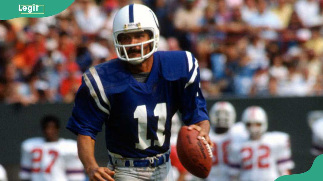 David Humm scrambles with the ball looking to throw a pass against the New England Patriots David Humm scrambles with the ball looking to throw a pass against the New England Patriots