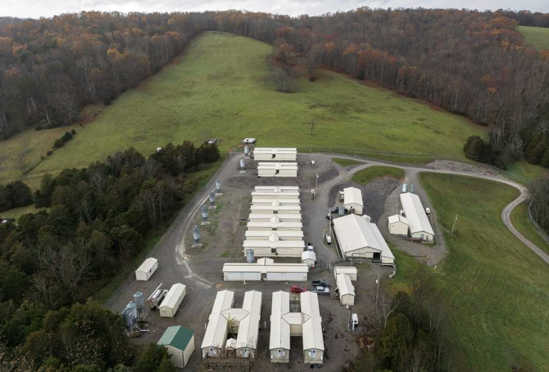 For more than 20 years, Revivicor, in Blacksburg, Virginia, has been conducting research to turn pig-to-human transplantation from science fiction to life-saving medical care For more than 20 years, Revivicor, in Blacksburg, Virginia, has been conducting research to turn pig-to-human transplantation from science fiction to life-saving medical care