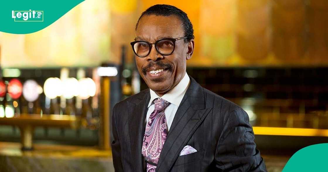Bismarck Rewane backs tariff hike Bismarck Rewane backs tariff hike