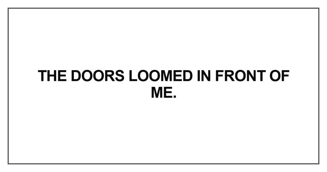 The doors loomed in front of me