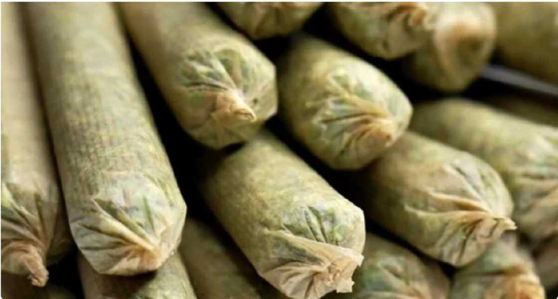 Tabar Wiwi Tabar Wiwi