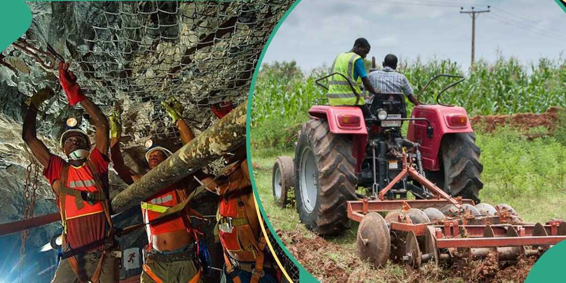 Top investment opportunities in Nigeria: 6 sectors reshaping one of Africa's largest economies Top investment opportunities in Nigeria: 6 sectors reshaping one of Africa's largest economies