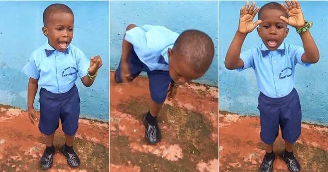 Little boy leads assembly