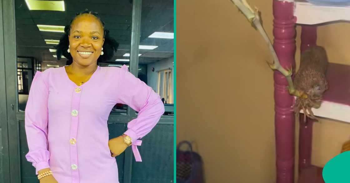 Lady cries out over strange home invasion. Lady cries out over strange home invasion.