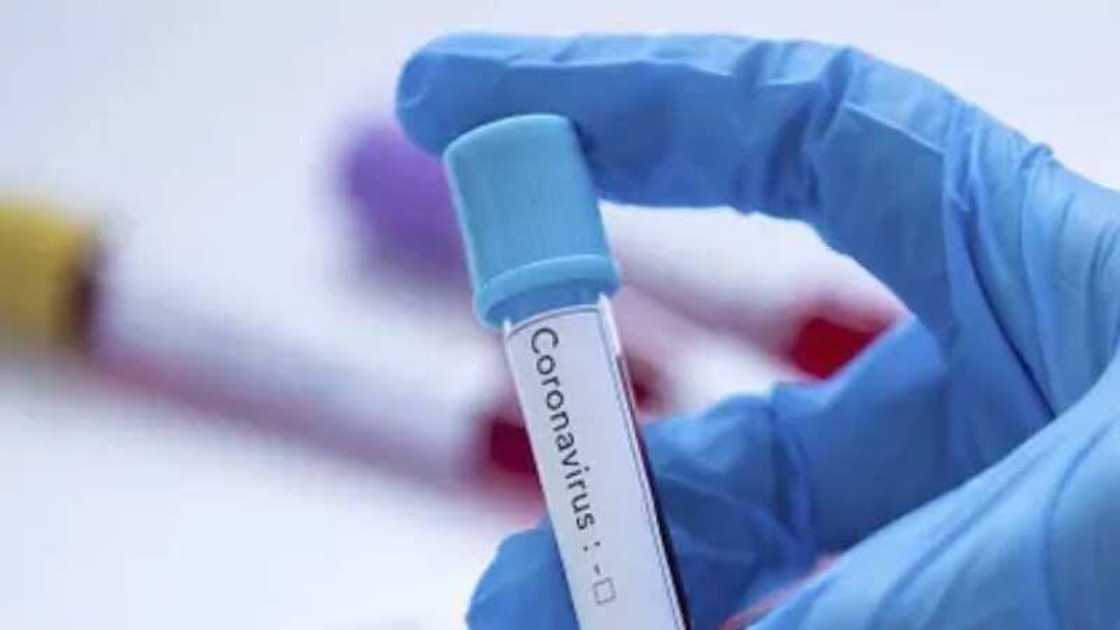 Scientists and intelligence officials have noted that China has withheld key information since 2020 Scientists and intelligence officials have noted that China has withheld key information since 2020