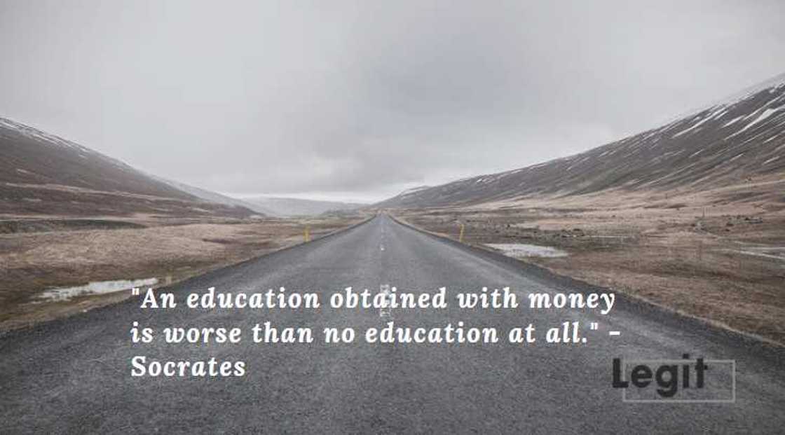 socrates education quotes socrates education quotes