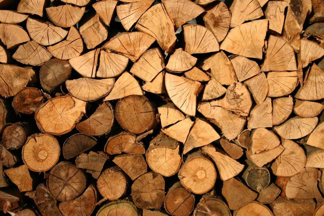 10 common uses of wood 10 common uses of wood