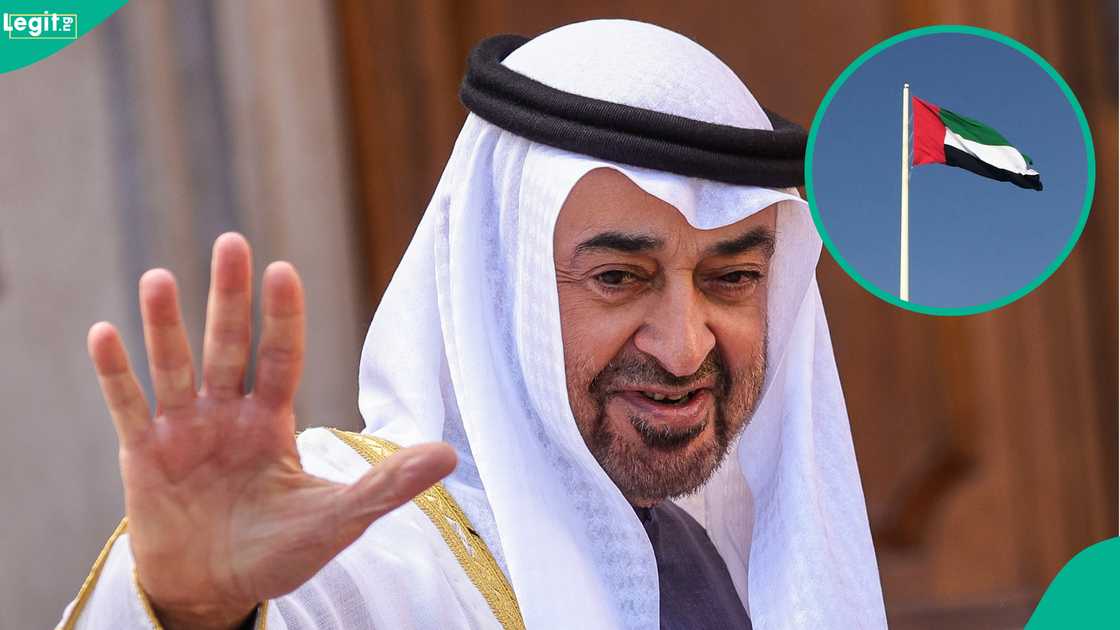 See 5 categories of foreigners who qualify for UAE Blue Residency