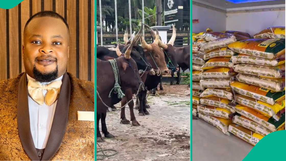Nigerian man shares cows and rice at Christmas, Nigerians praise man for community generosity, TikTok video shows Christmas food distribution, Nigerian chief gives back to community, Christmas charity gesture trends online. Nigerian man shares cows and rice at Christmas, Nigerians praise man for community generosity, TikTok video shows Christmas food distribution, Nigerian chief gives back to community, Christmas charity gesture trends online.