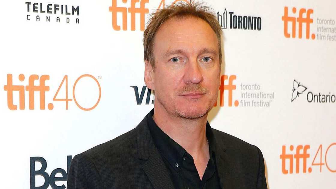 Harry Potter stars Harry Potter stars