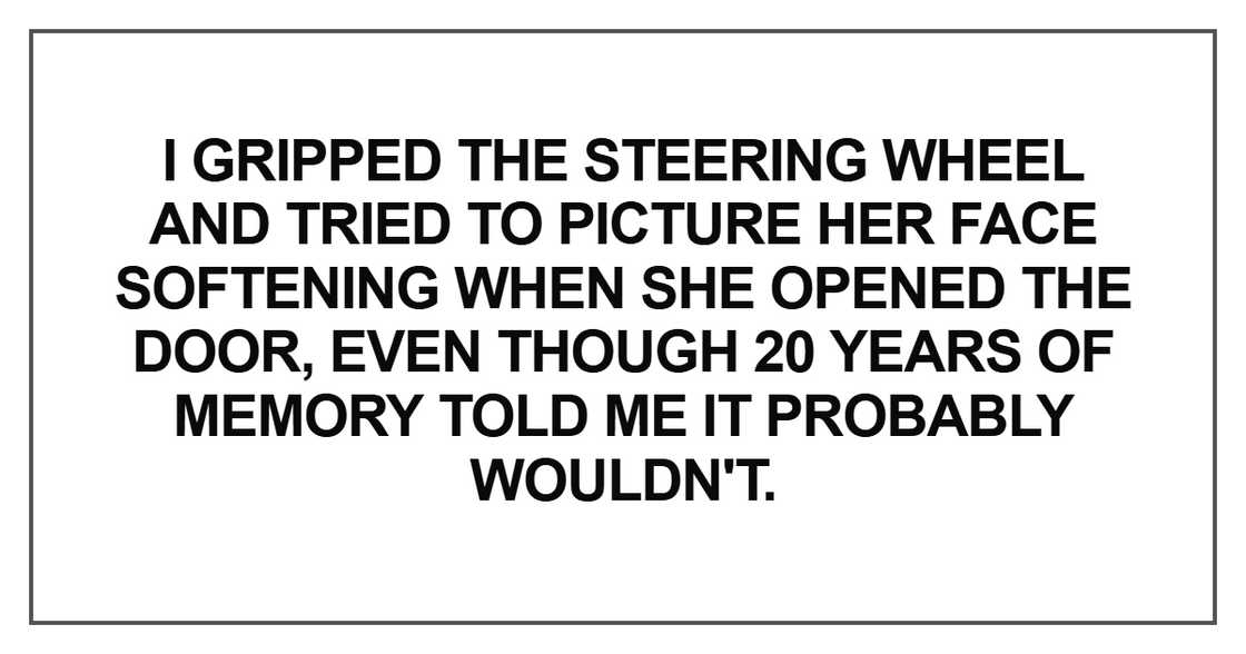 I gripped the steering wheel and tried to picture her face softening when she opened the door